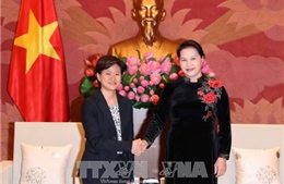 Chủ tịch Quốc hội Nguyễn Thị Kim Ngân tiếp Đại sứ Singapore